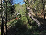 mfaie17 004m